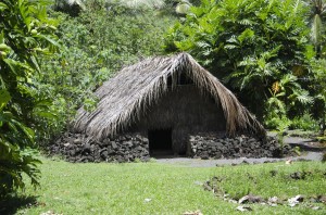 Kamokila village
